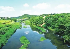 潜山市五井河小流域水土保持工程